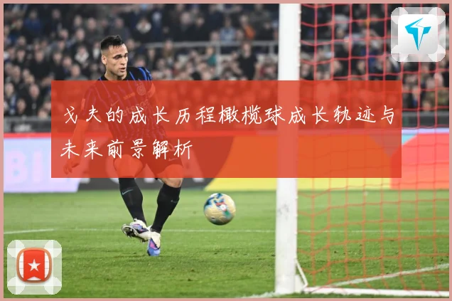 戈夫的成长历程橄榄球成长轨迹与未来前景解析