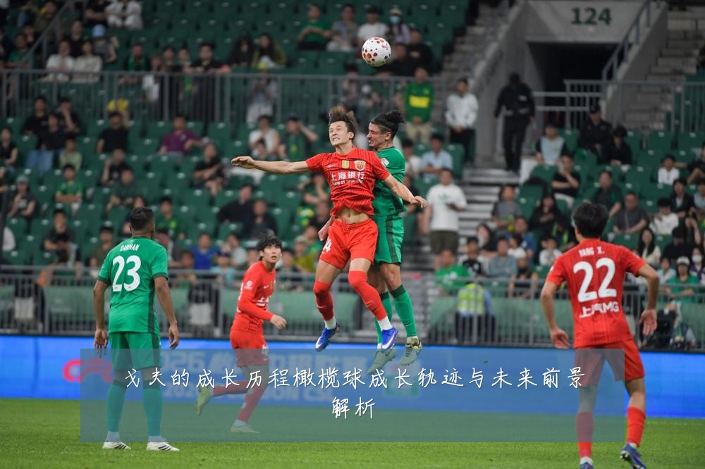 戈夫的成长历程橄榄球成长轨迹与未来前景解析